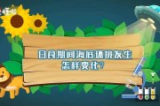 本泽马金球奖赛季，皇马欧冠夺冠核心